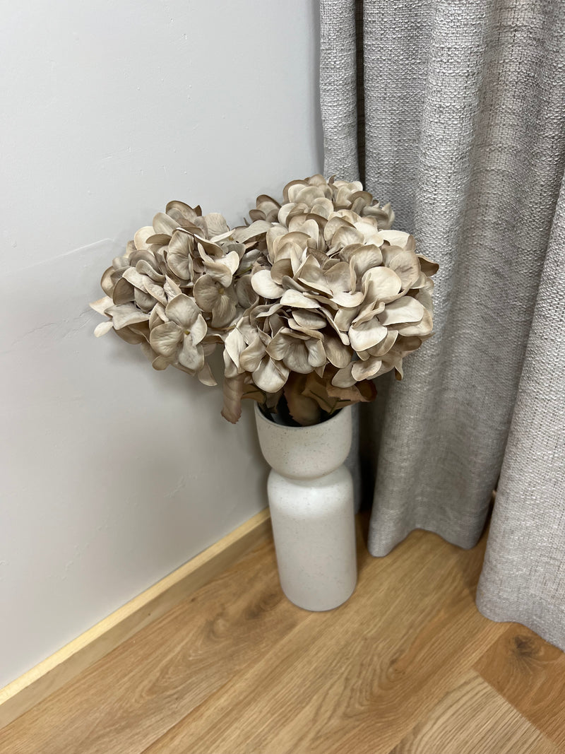 Hydrangea