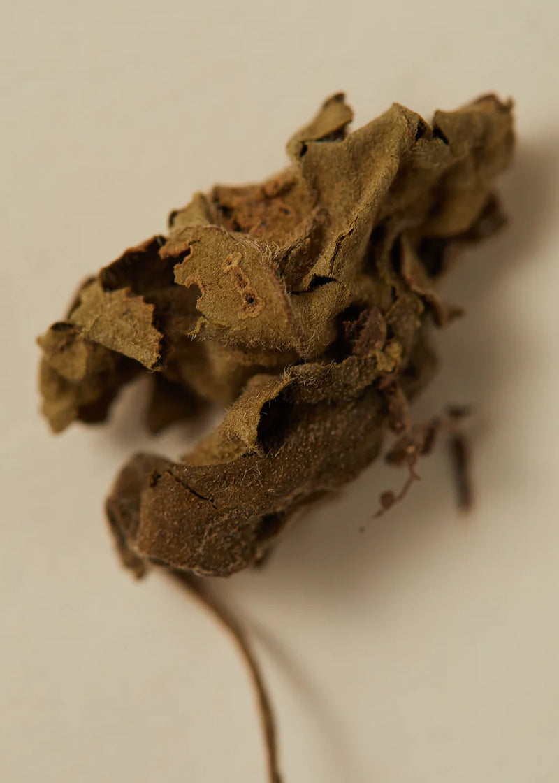 The AYU | Perfume Oil - Smoking Rose 15ml