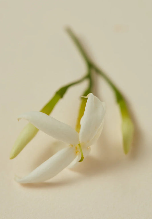 The AYU | Body Oil - Jasmine & Neroli
