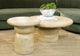 Banyan | Marlie Coffee Table
