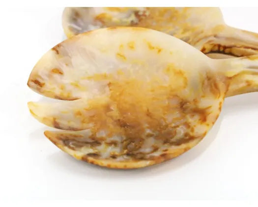 Dino Resin Salad Servers