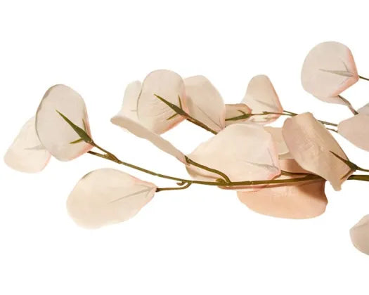 French White Eucalyptus Floral
