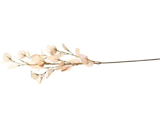 French White Eucalyptus Floral