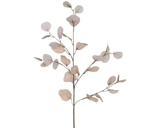 French White Eucalyptus Floral