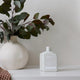Al.ive Body Lotion Refill | Seacotton & Coconut - 650ml