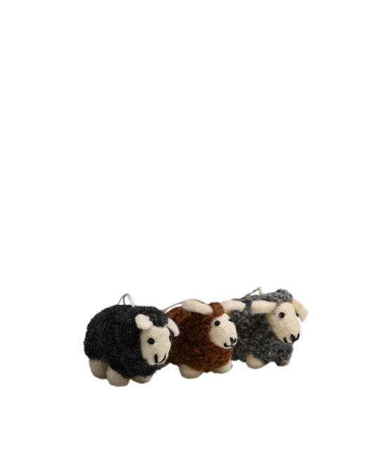 Woolburn Flock of Sheep | S3
