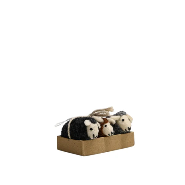 Woolburn Flock of Sheep | S3