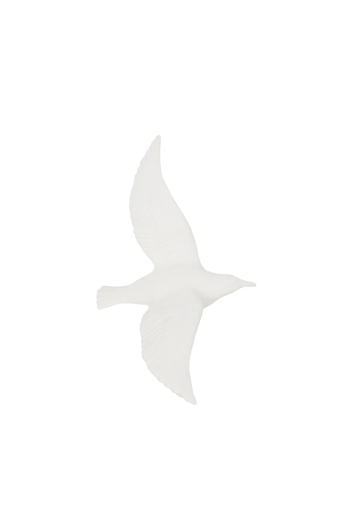 Flying Birds | Double Open Wing