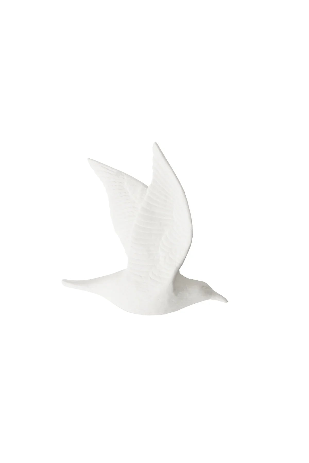 Flying Birds | Double Closed Wing