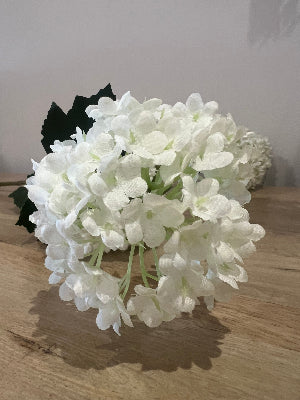 White Flower Stems