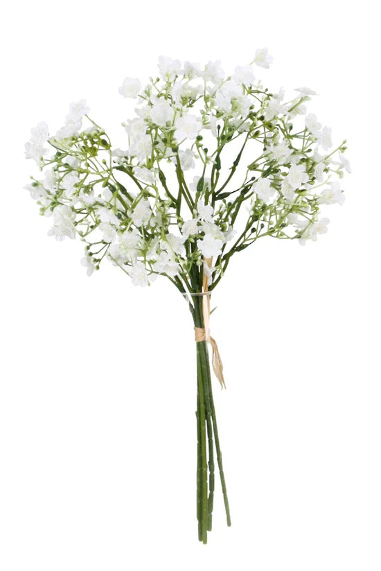 Gypsophila Bundle 36cm