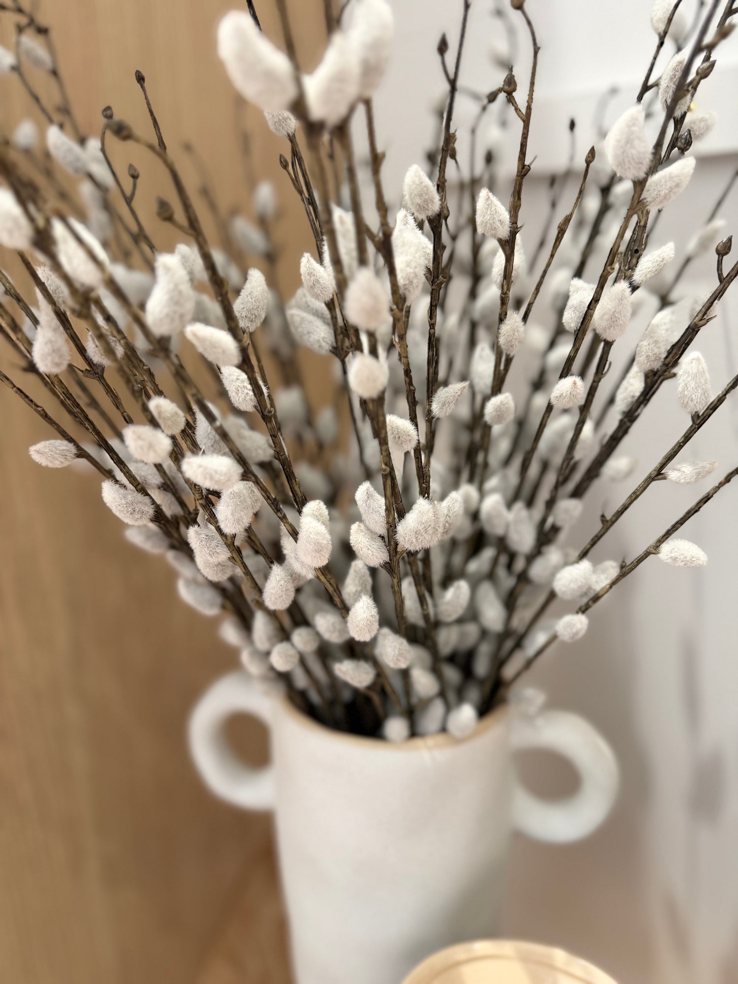 Pussy Willow | S3 - 55cm