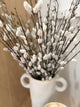 Pussy Willow | S3 - 55cm