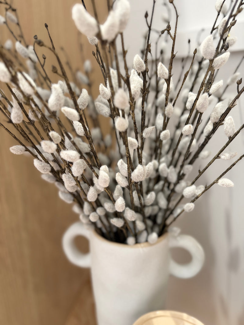 Pussy Willow | S3 - 55cm