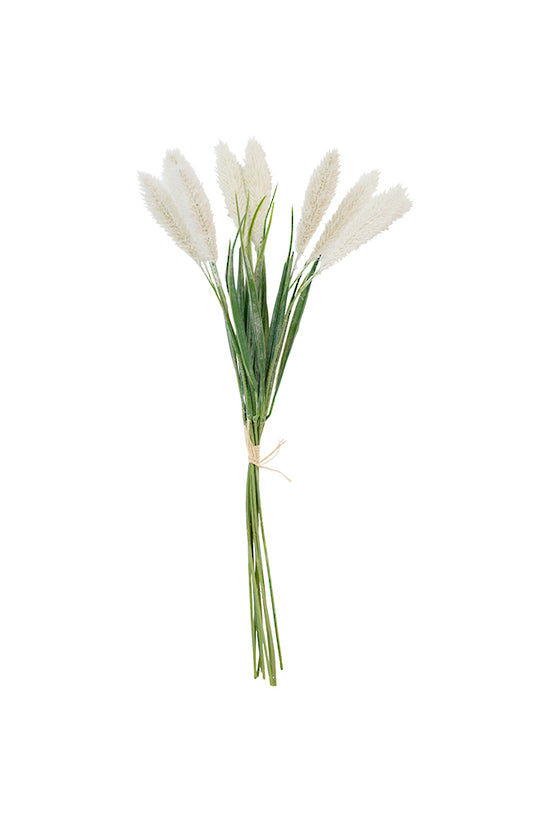 Setaria Bundle