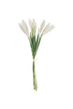 Setaria Bundle