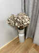 Hydrangea
