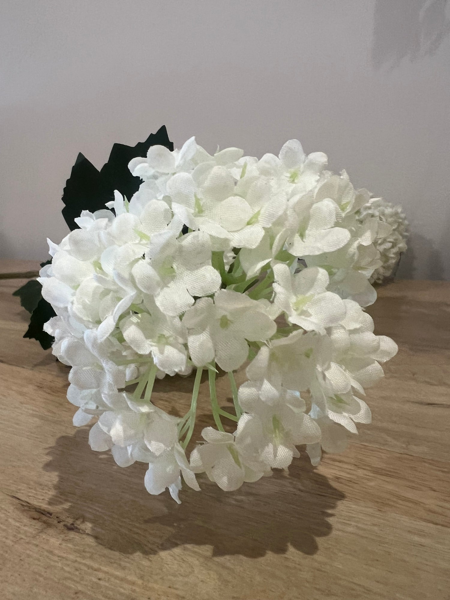Snow-Ball Flower | White