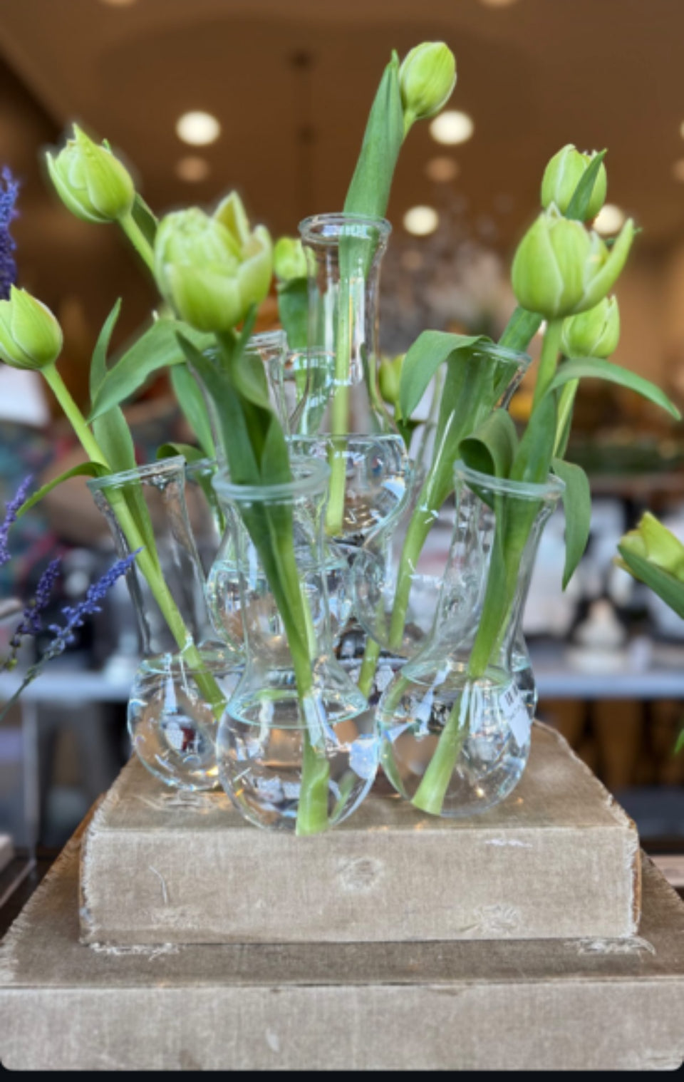 Le Forge | Beaker Test Tube Vase 10pc