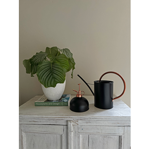 Plant Mister | Black/Copper