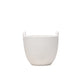 Rene Planter