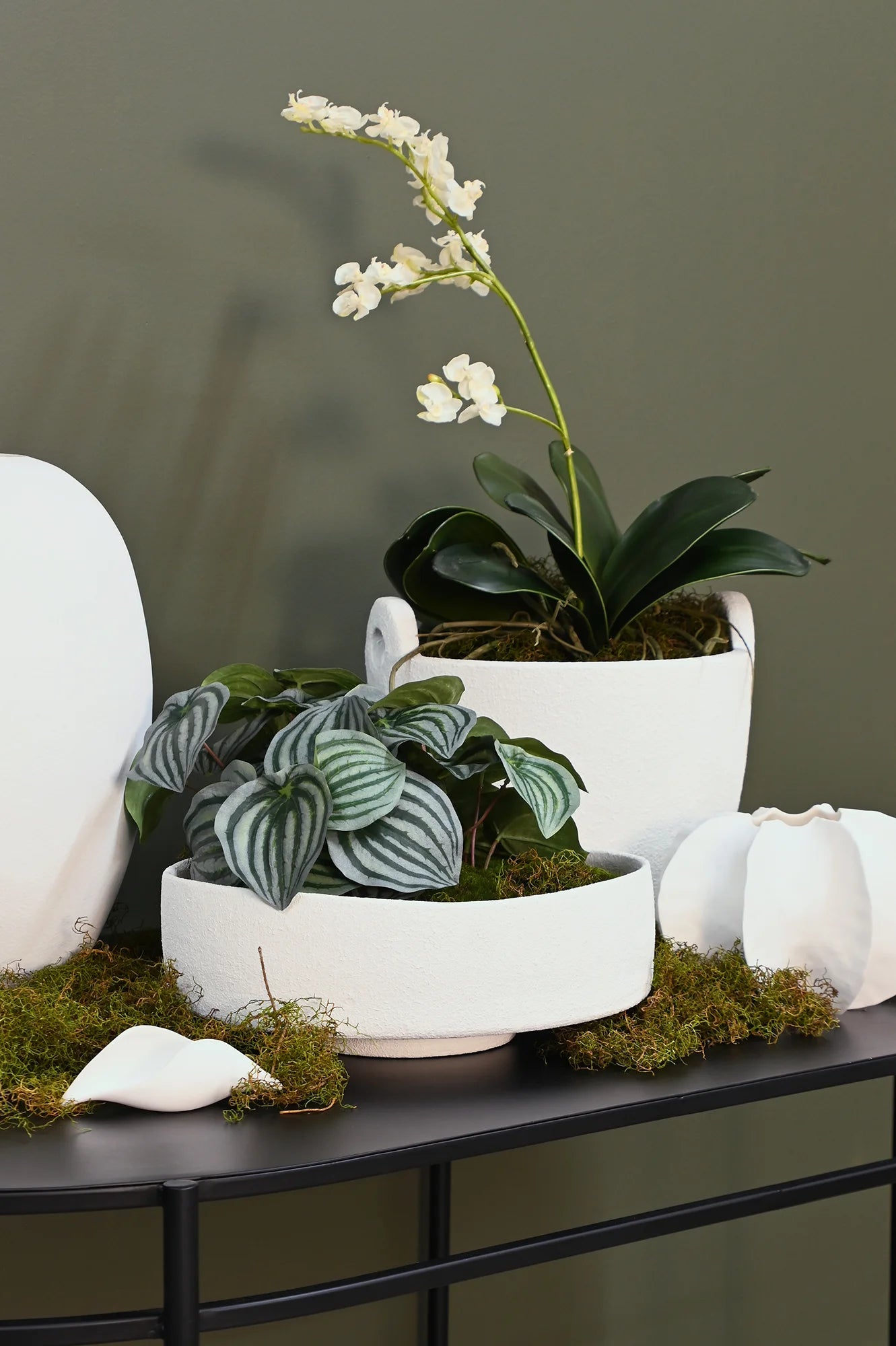 Bella Bowl