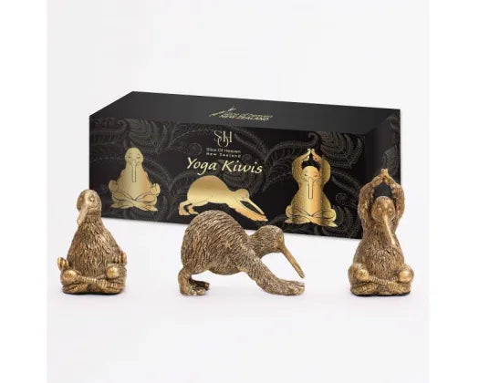 Robert Mark Bronze Yoga Kiwis