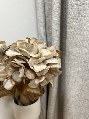 Hydrangea Stem In Oyster Colour