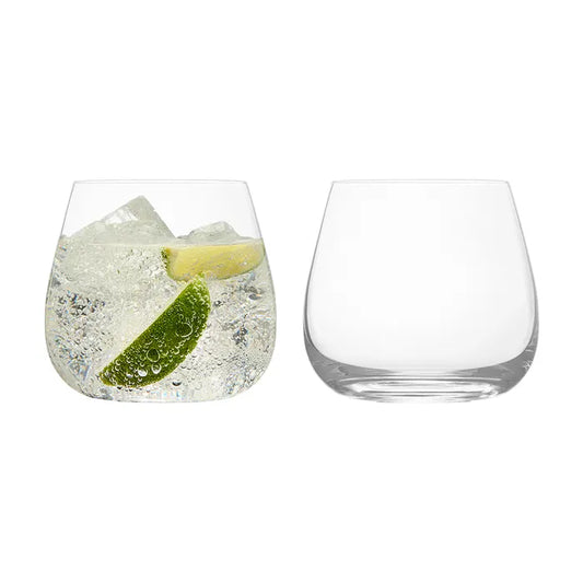 Anton Studio Set2 Glass Tumblers 
