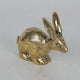Brass Rabbit | Crouching