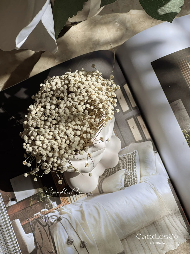 Day Dreamer Vase | White